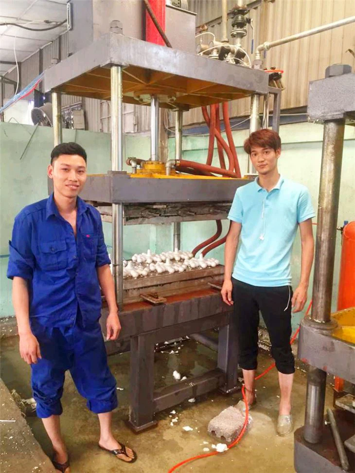 Longwell Cheap EPS Shape Molding Machine